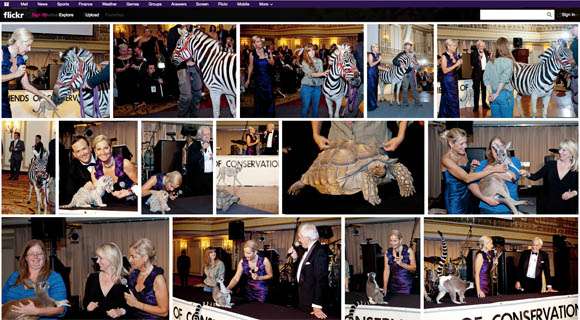 ball2013flickr_580